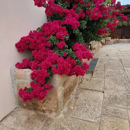 Holiday home Casa Belvedere *